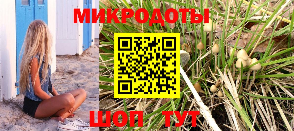 Псилоцибиновые грибы мухоморы  Псилоцибиновые грибы ЛСД  где можно купить наркотик  Вход с VPN  Рассказово 