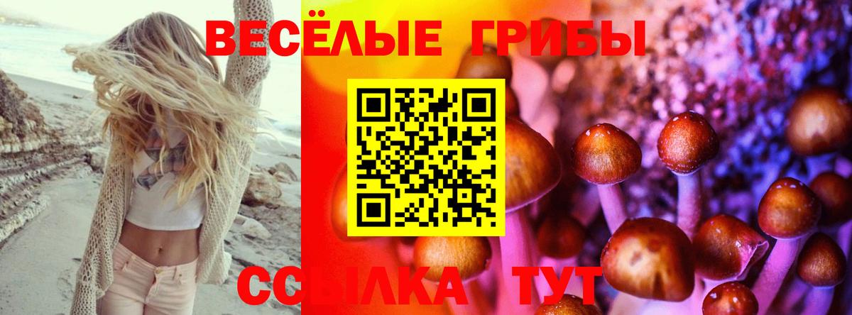 Псилоцибиновые грибы Psilocybine cubensis Рассказово